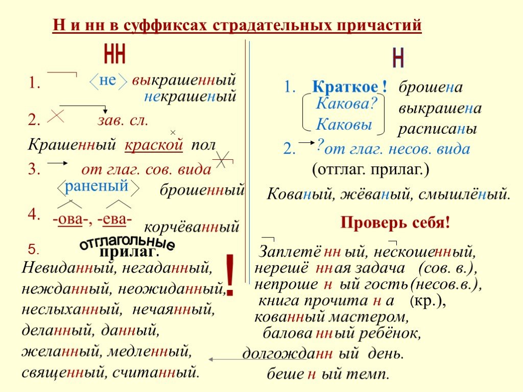 Н русский язык: Н и НН в разных частях речи — правила и правописание —  Муниципальное бюджетное общеобразовательное учреждение 